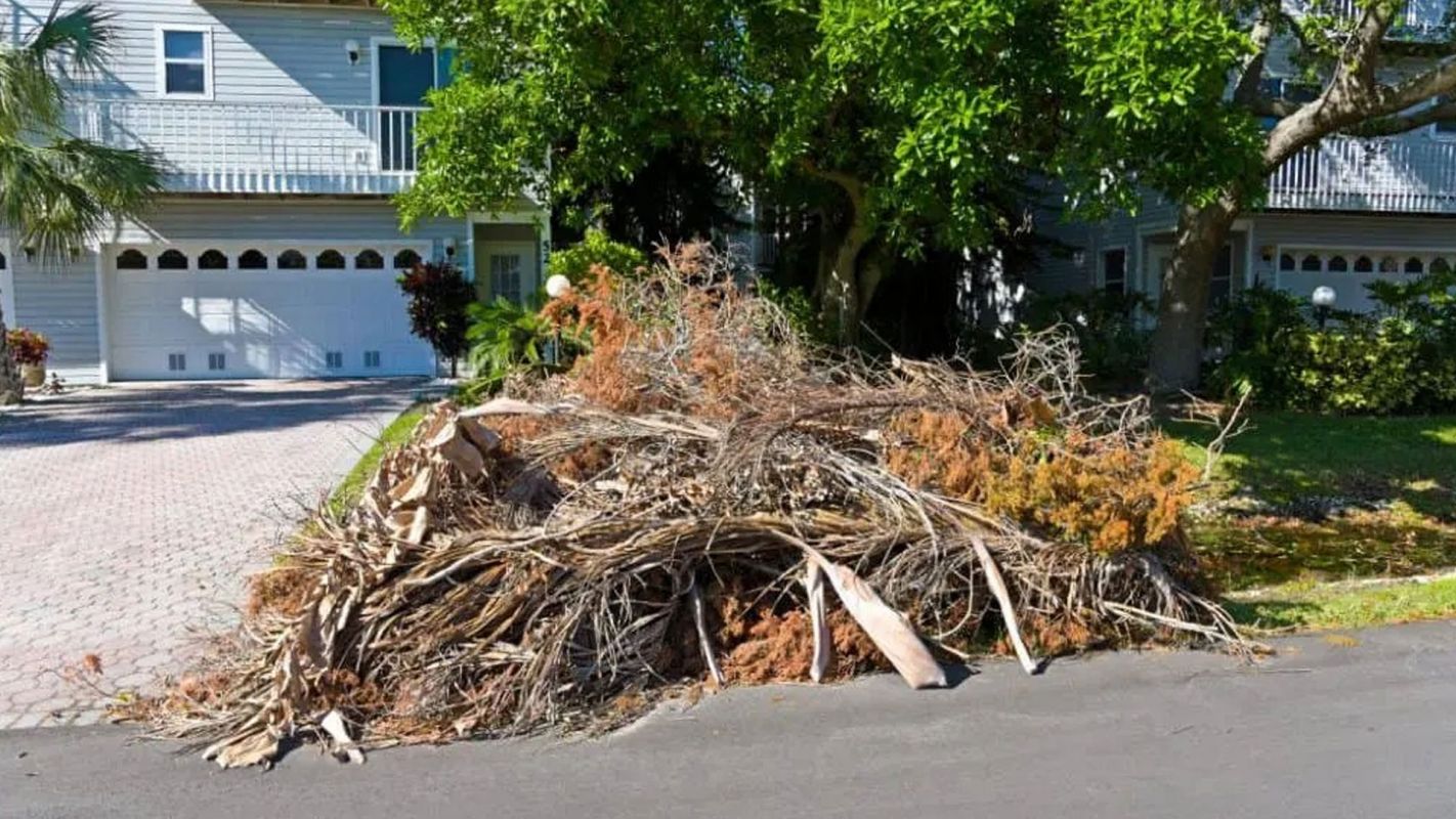Yard Debris Removal Las Vegas NV