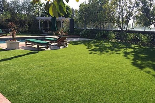 Affordable Synthetic Grass Price