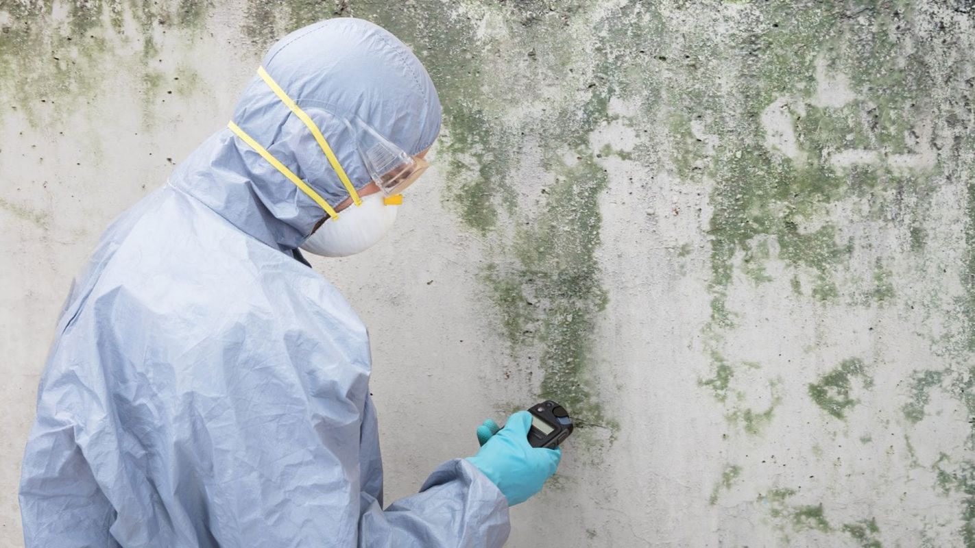 Mold Testing Services Independence KY