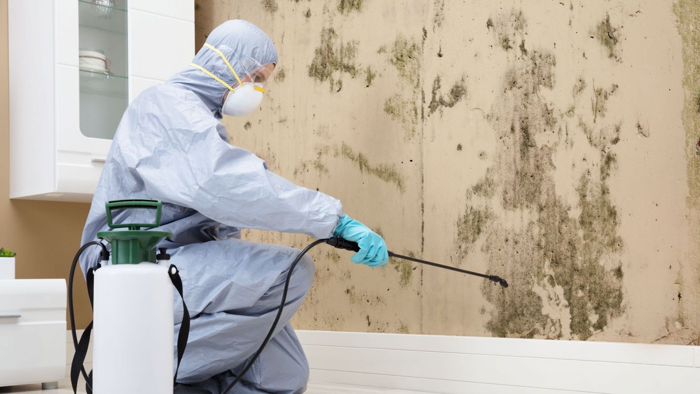 Mold Inspection Services Independence KY