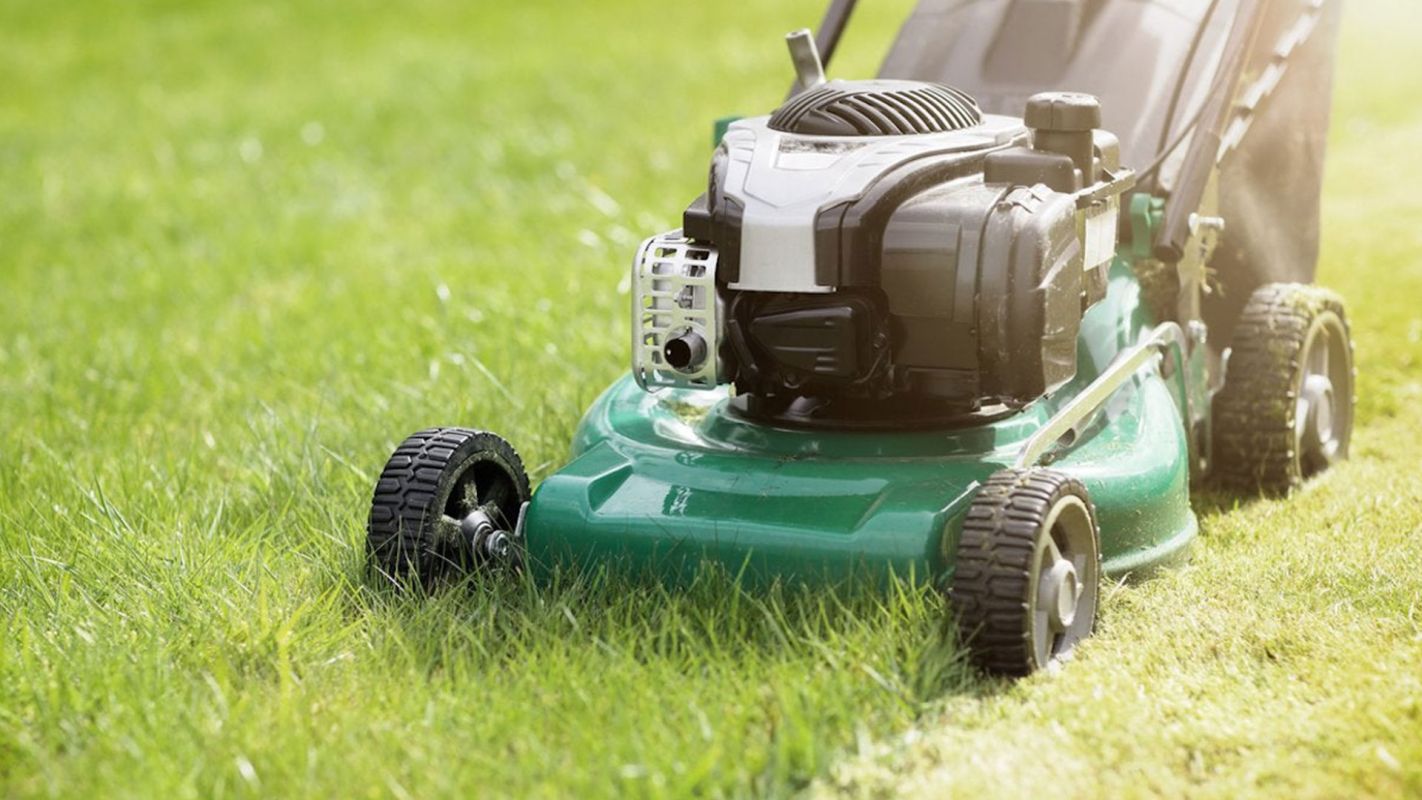 Lawn Grass Cutting Overland Park KS