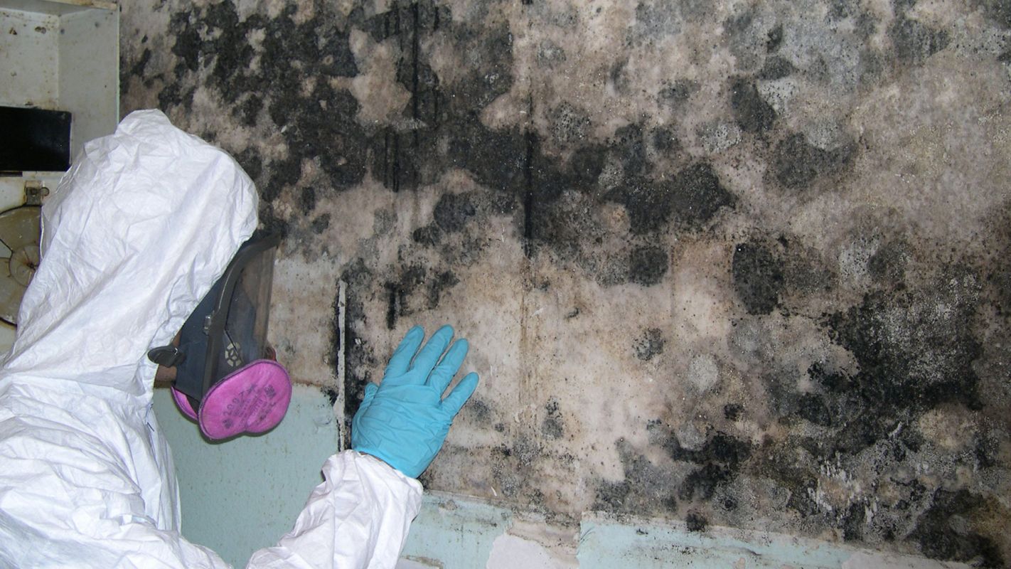 Mold Mitigation Glen Burnie MD