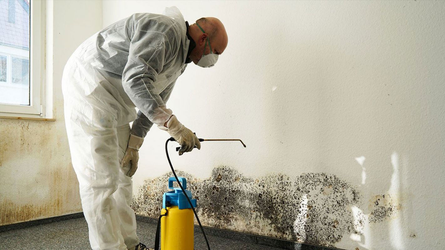 Mold Remediation Glen Burnie MD