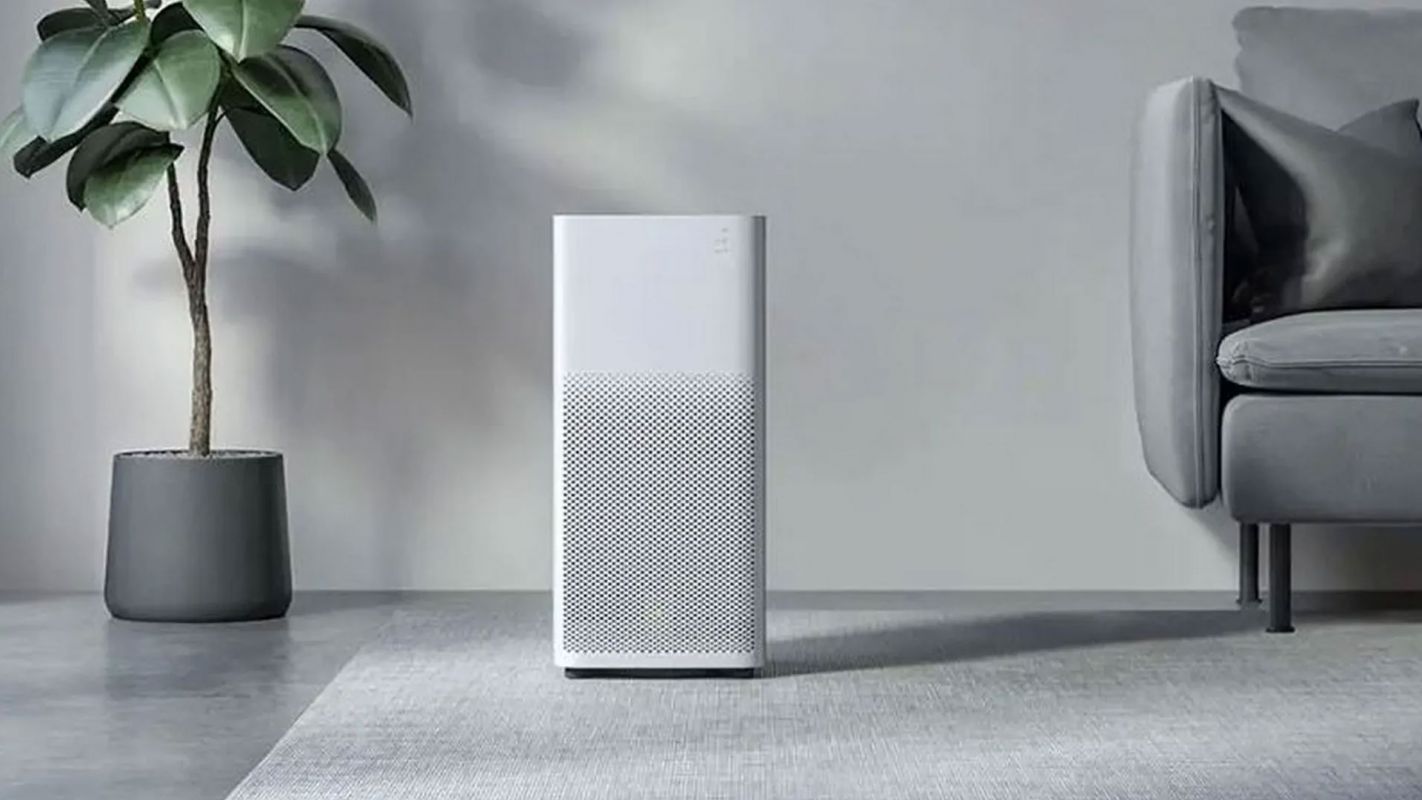Air Purification Doctor Phillips FL