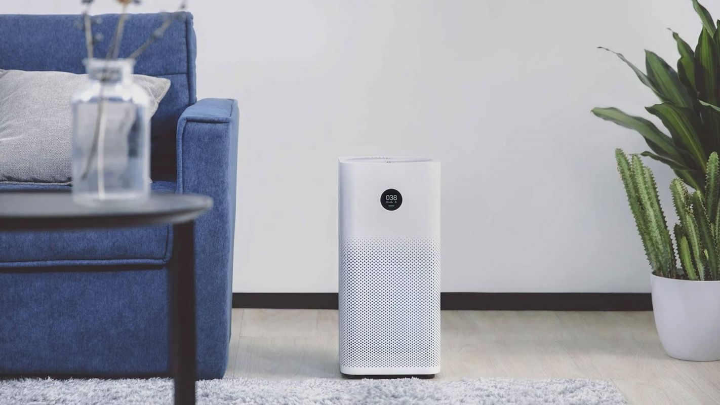 Air Purification Services Cost Doctor Phillips FL