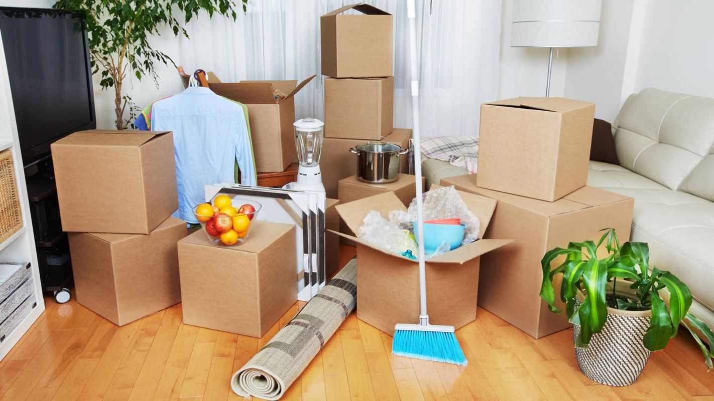Move In Cleaning Doctor Phillips FL