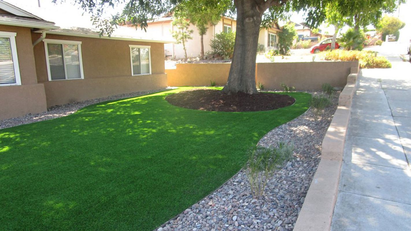 Drought Tolerant Landscaping Woodland Hills CA