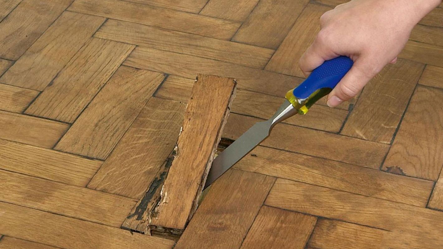 Hardwood Floor Repair Services Chattanooga TN