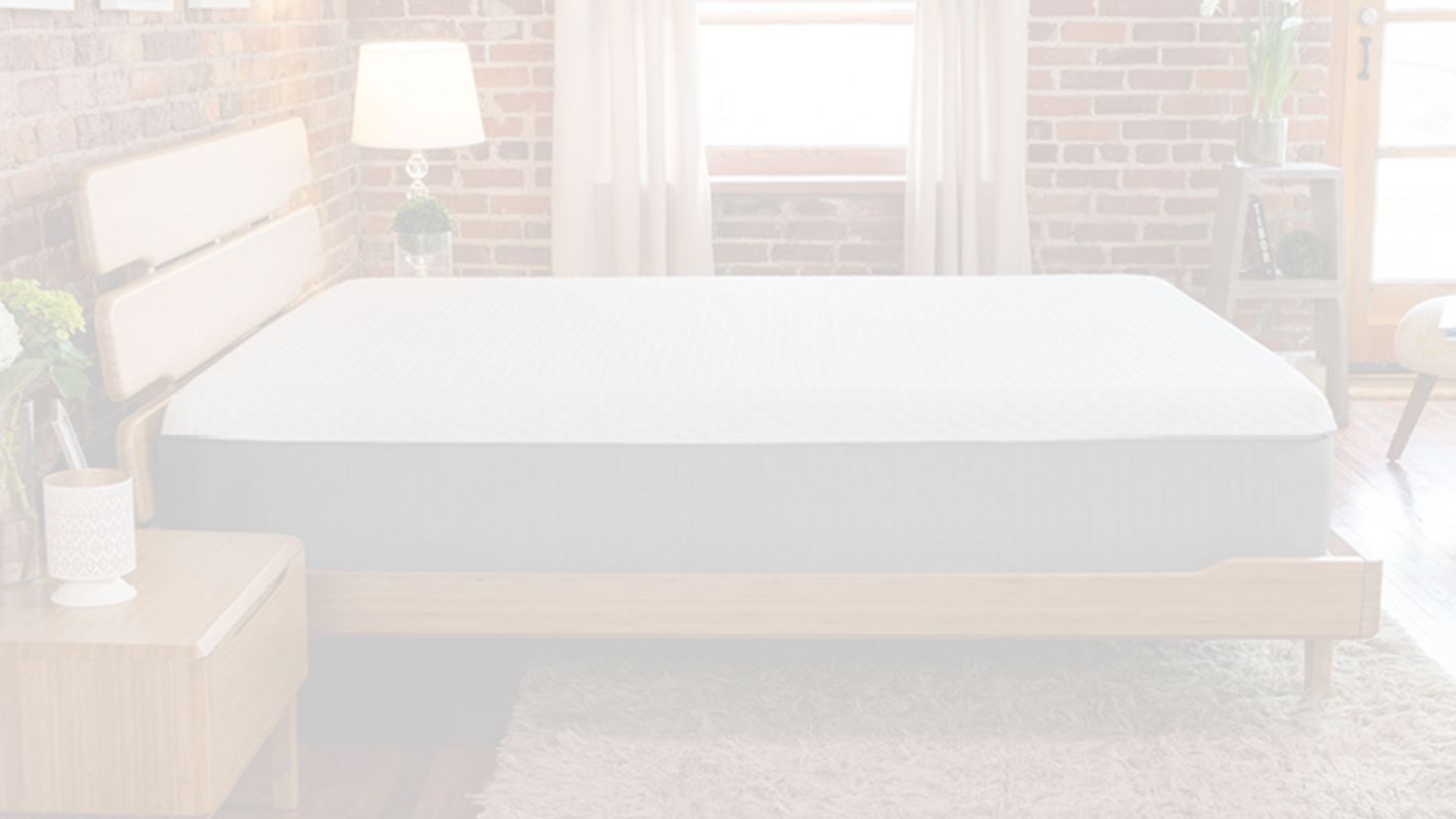 Cheap Queen Size Mattress Pantego TX