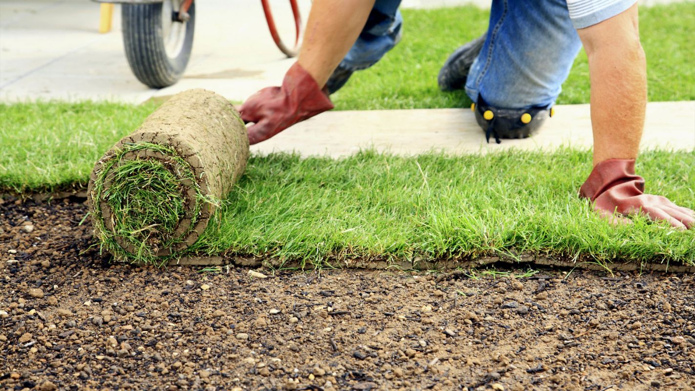 New Grass Installation Fairfield County CT