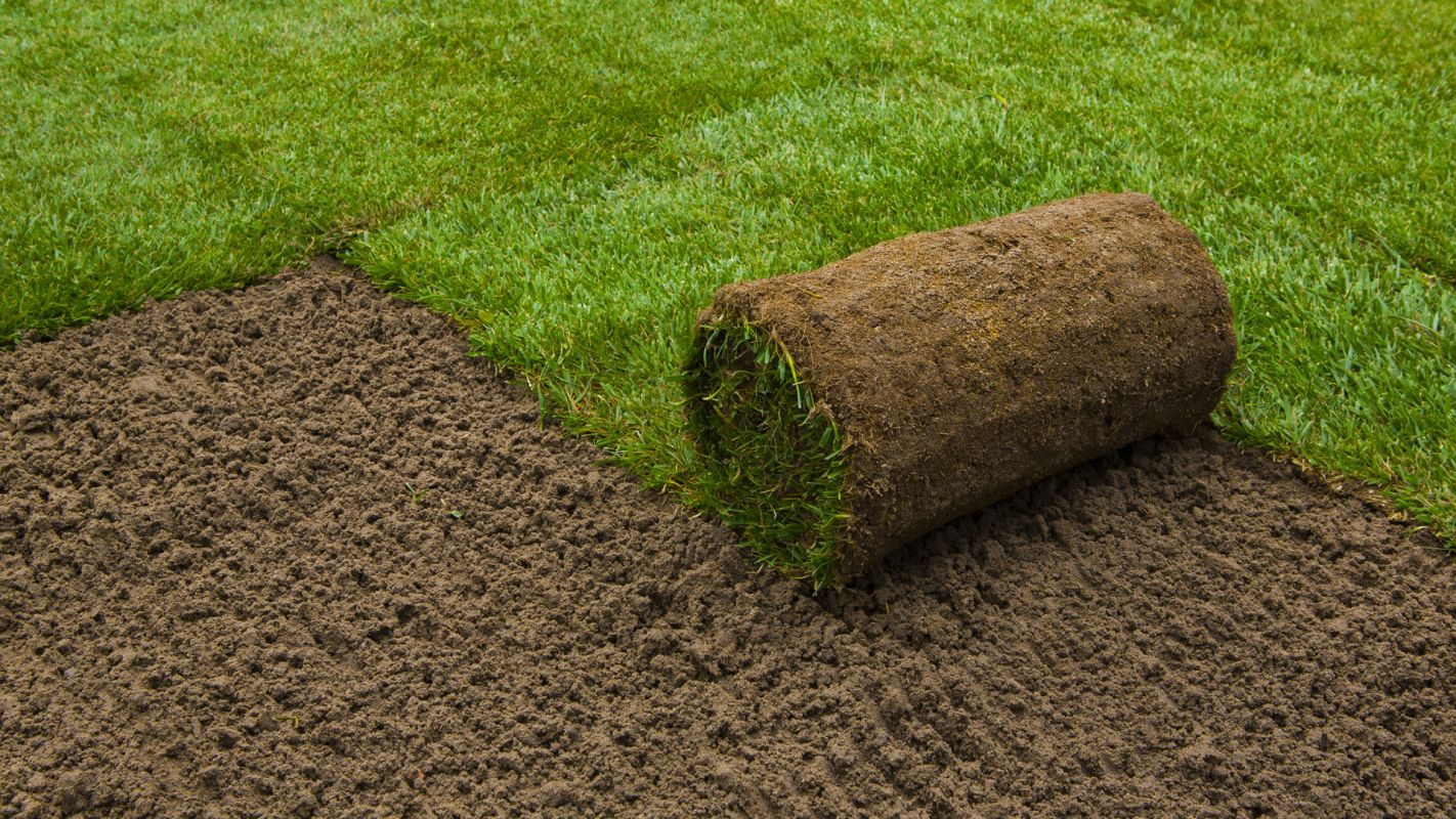 New Grass Installation Cost Stratford CT