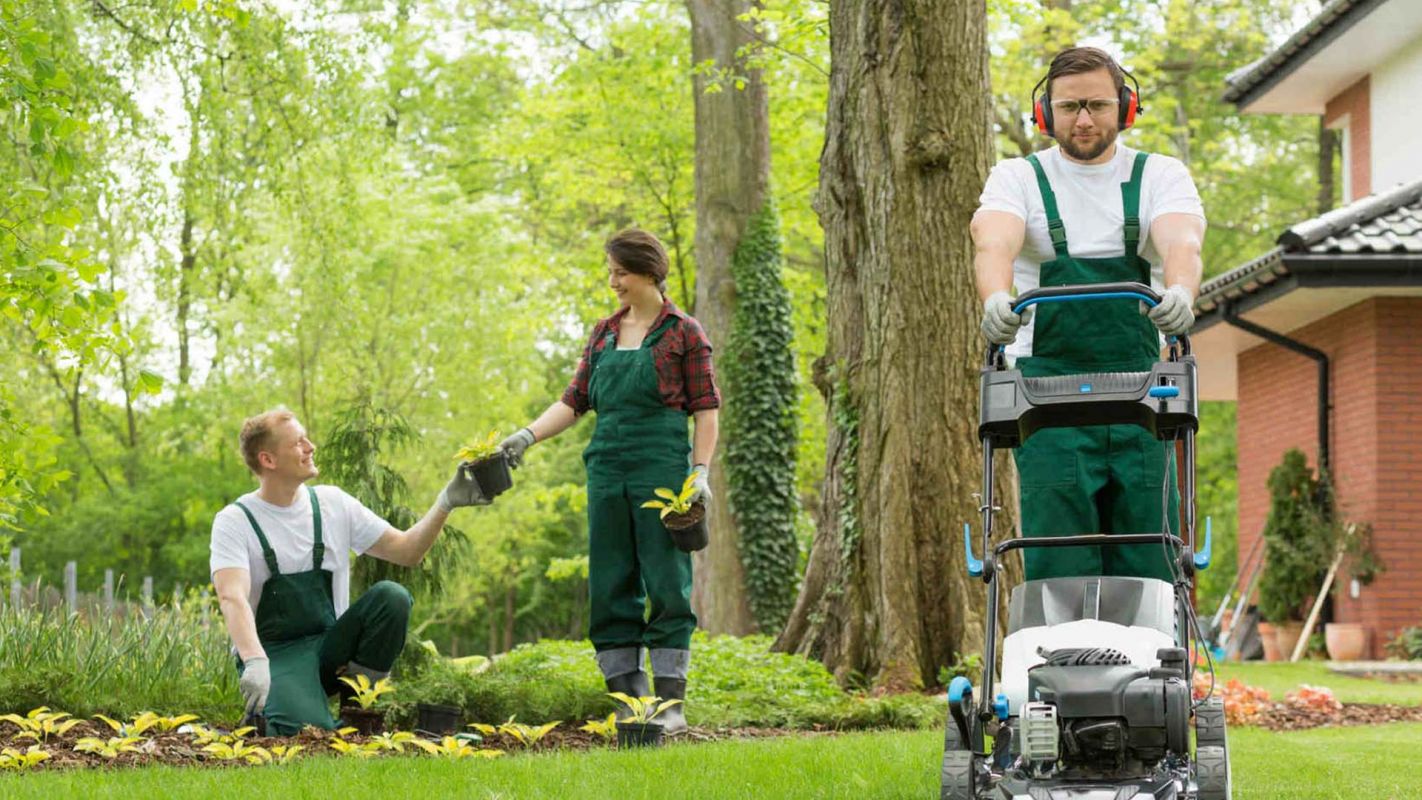 Lawn Care Services Coral Springs FL