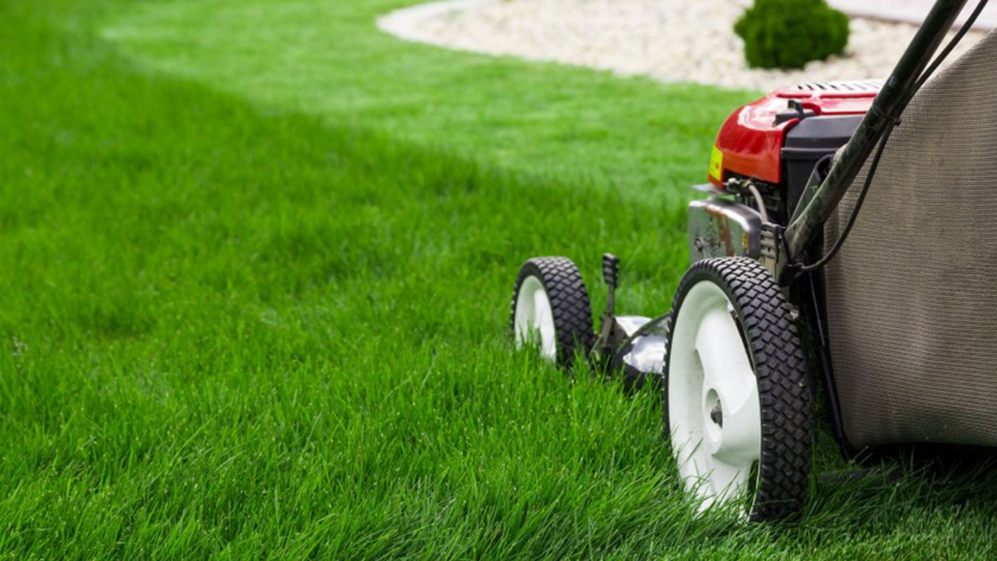 Lawn Mowing Services Wilton Manors FL