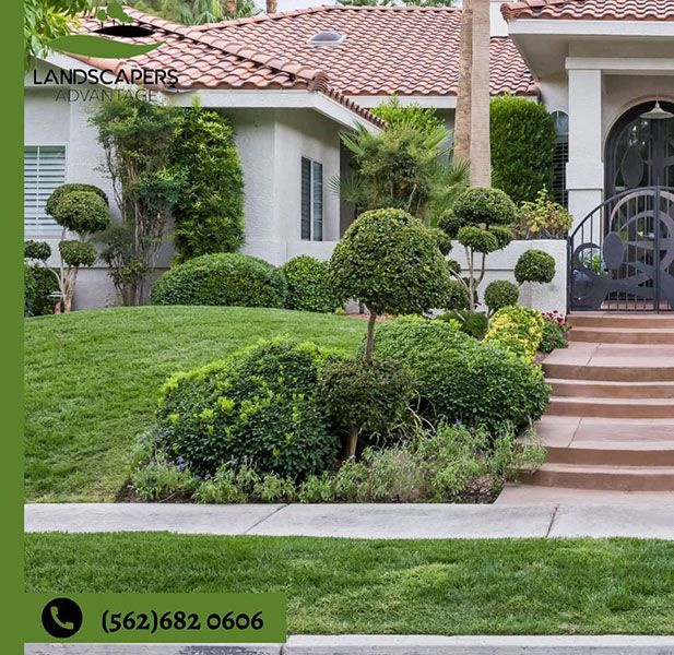 Landscape Insurance Company Los Angeles CA