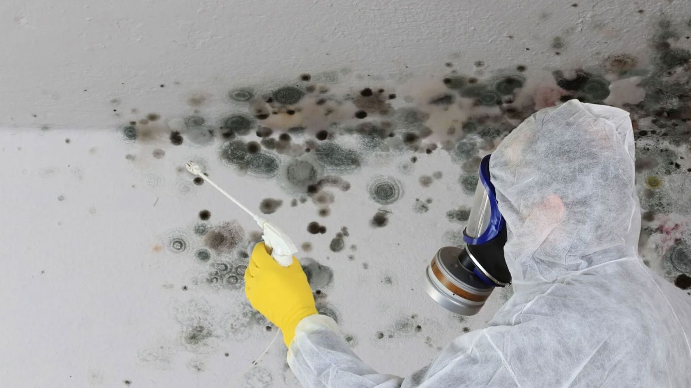 Mold Damage Cleanup Middletown NY