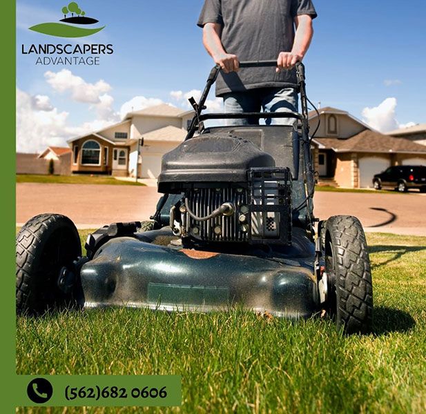 Landscape Insurance Company Orange County CA