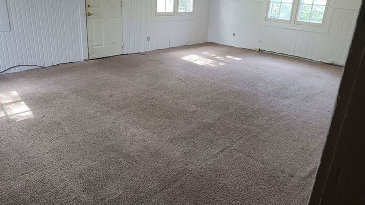 Residential Carpet Cleaning Kokomo IN