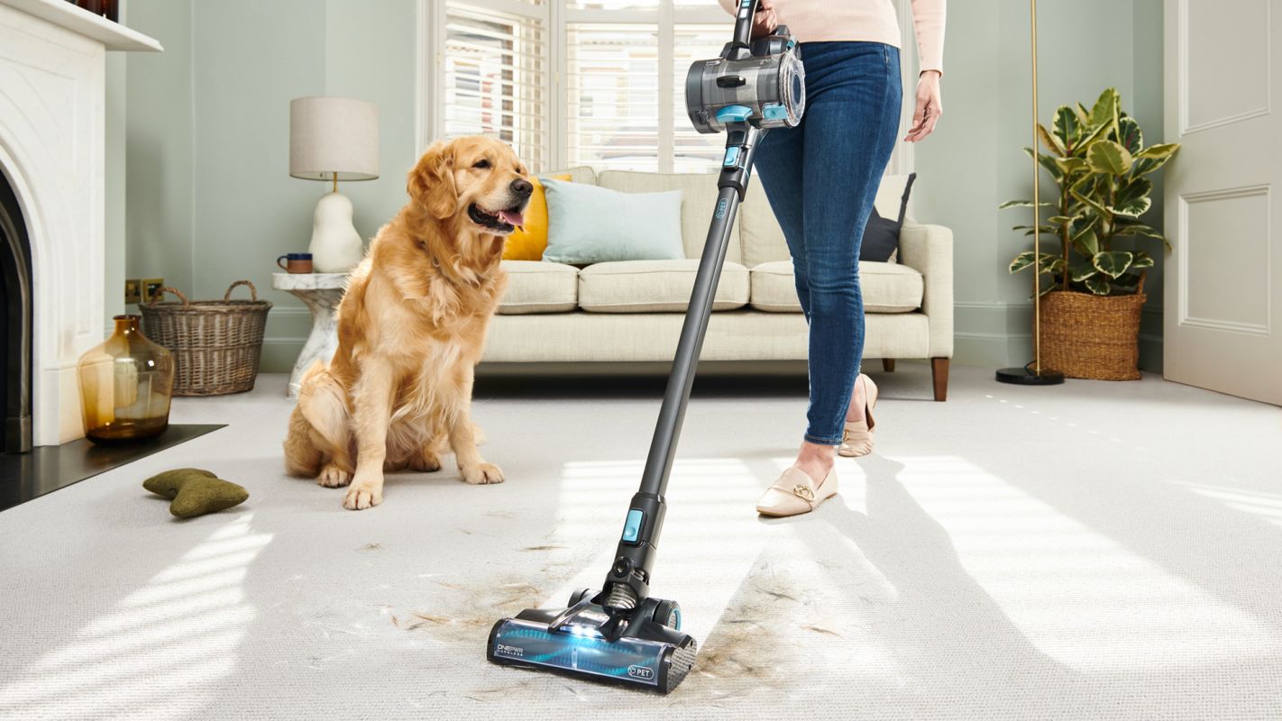 Pet Stain Carpet Cleaner Indianapolis IN
