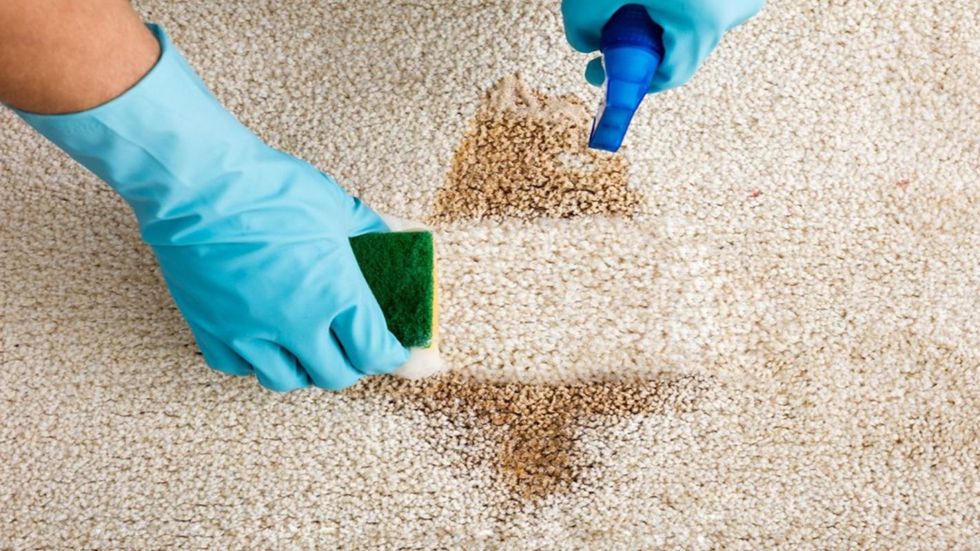 Carpet Stain Remover Belle Meade TN