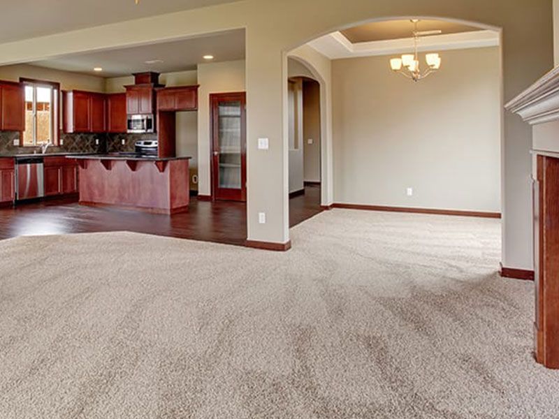 Carpet Flooring Services Gainesville FL