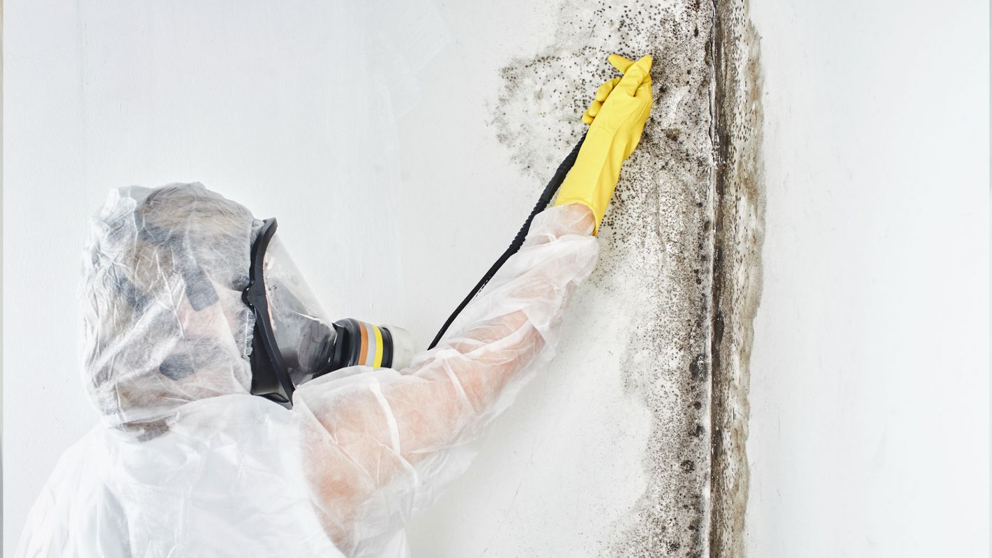 Mold Inspection Services San Francisco CA