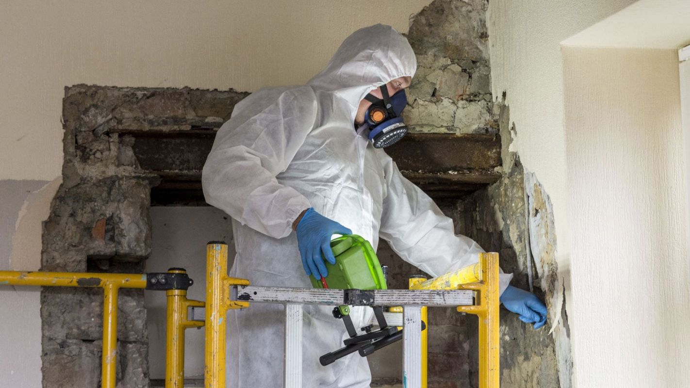 Asbestos Inspection Alameda County CA