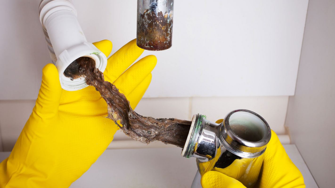 Drain Cleaning Services Monroe MI