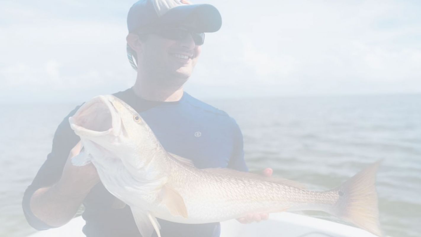 Fishing Charters for a Great Fishing Experience