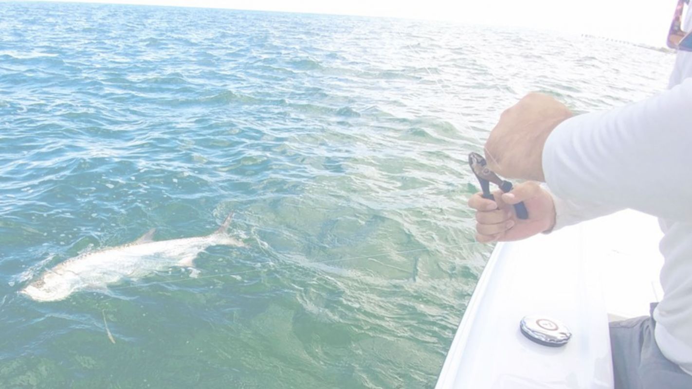 The Most Affordable Tampa Tarpon Charters