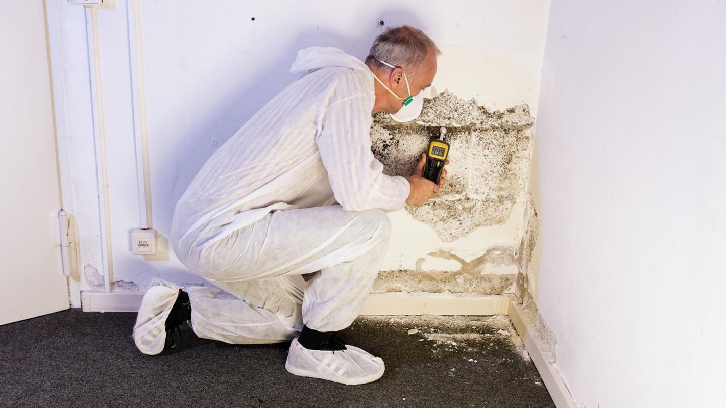 Mold Testing Company Albuquerque NM