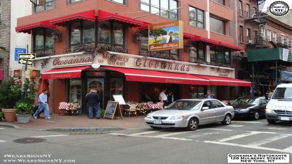 Winter Canopy Installation Lenox Hill NY