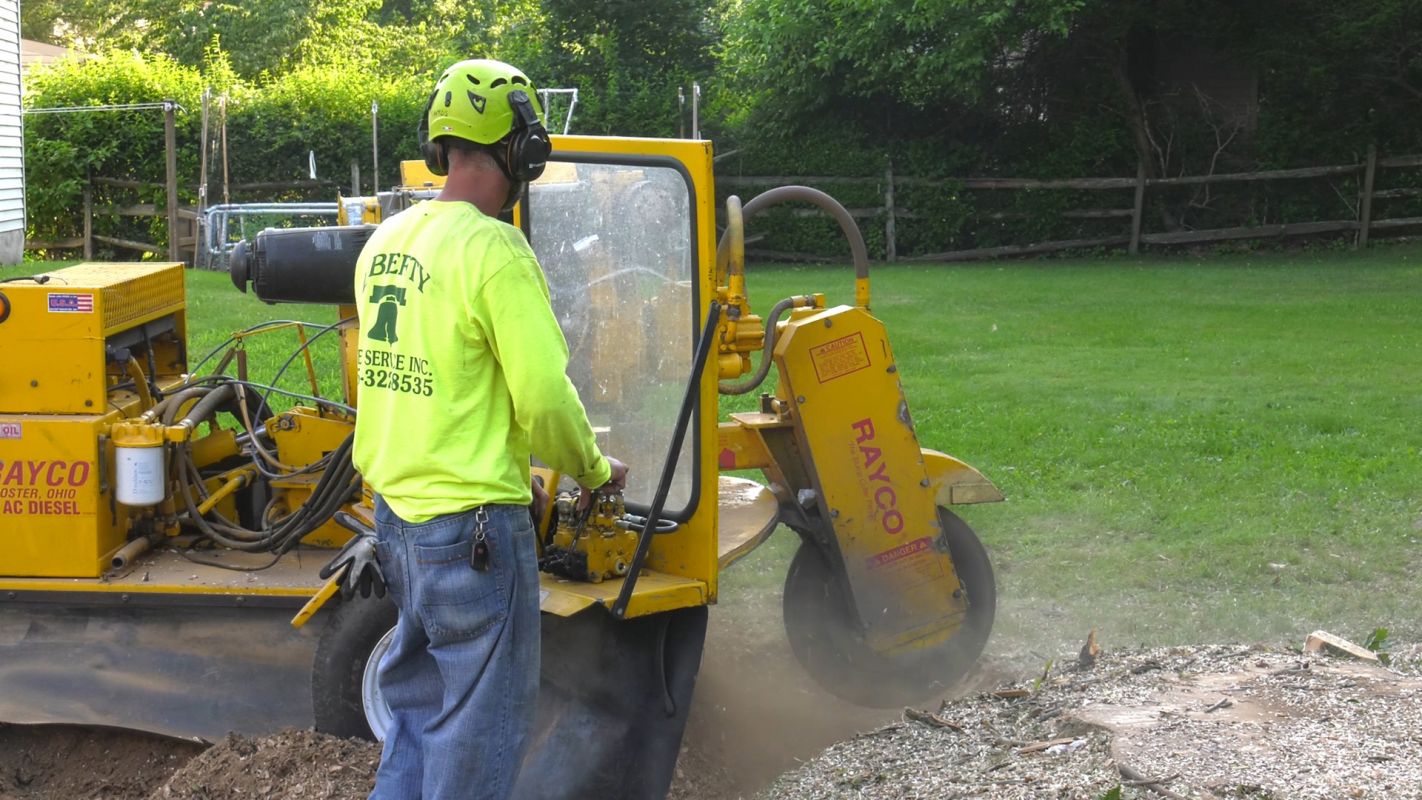 Stump Removal Upper Southampton Township PA