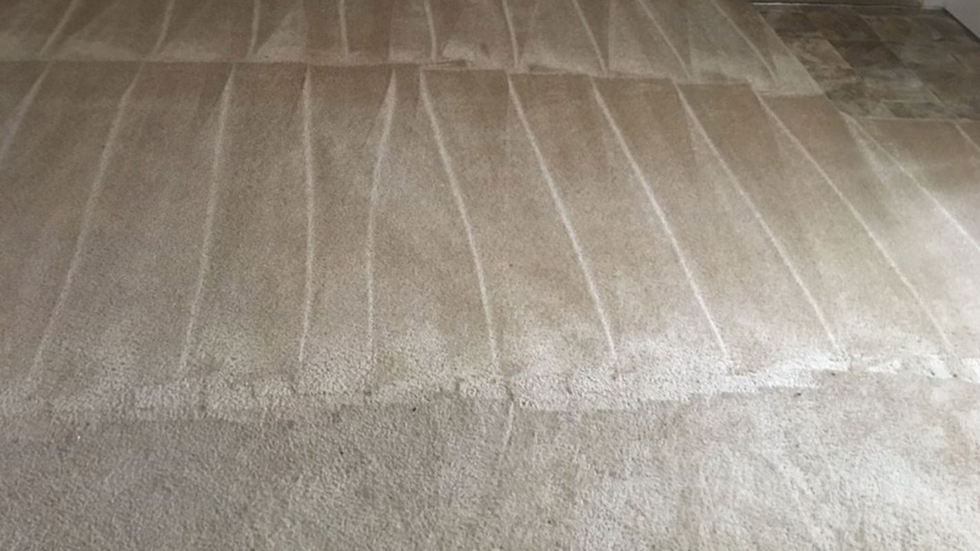Carpet Cleaning Services Tampa FL