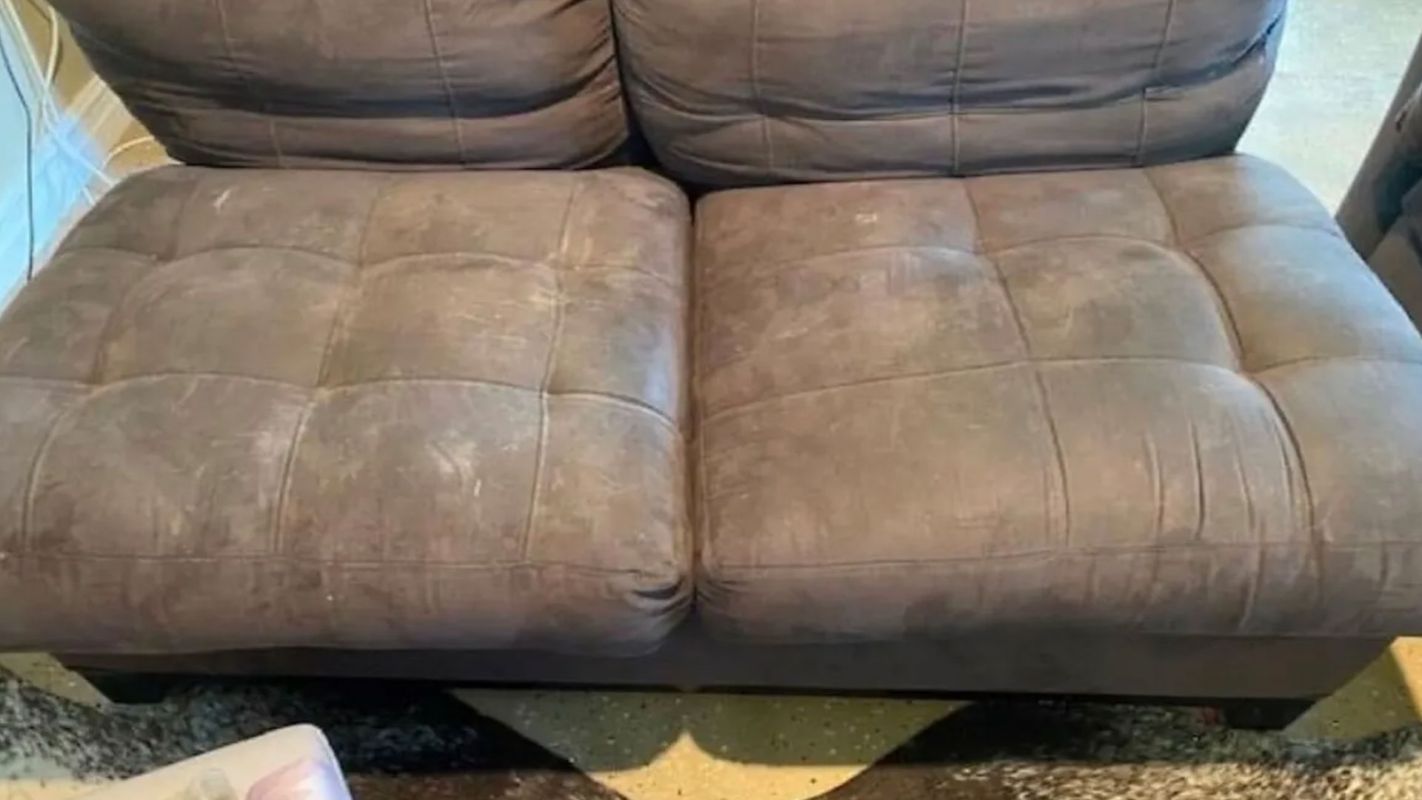 Professional Couch Cleaning Tampa FL
