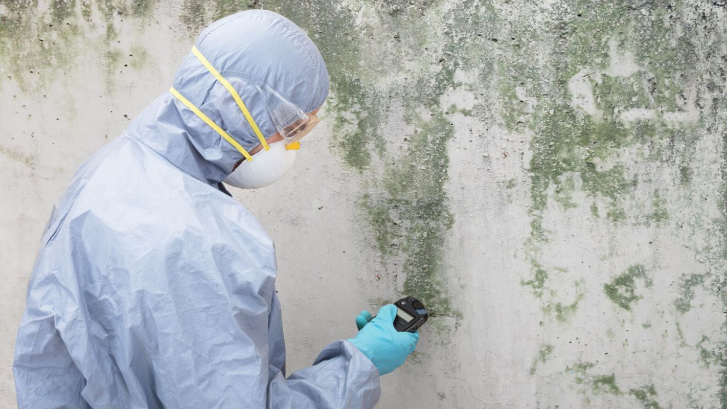Mold Testing Services Las Cruces NM