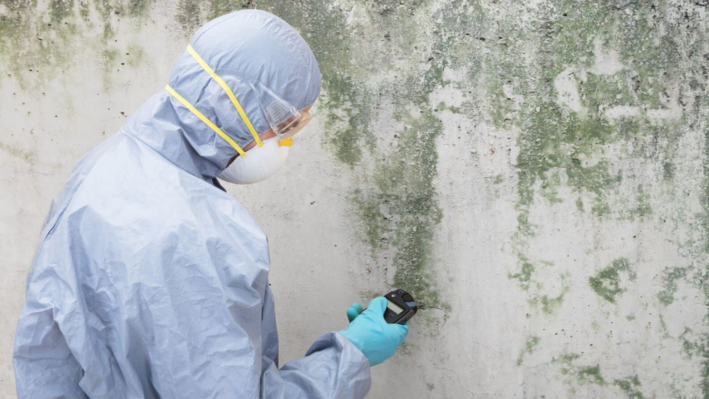 Mold Testing Services Clovis NM