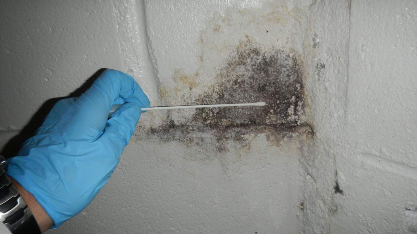 Mold Inspection & Testing Riviera Beach FL