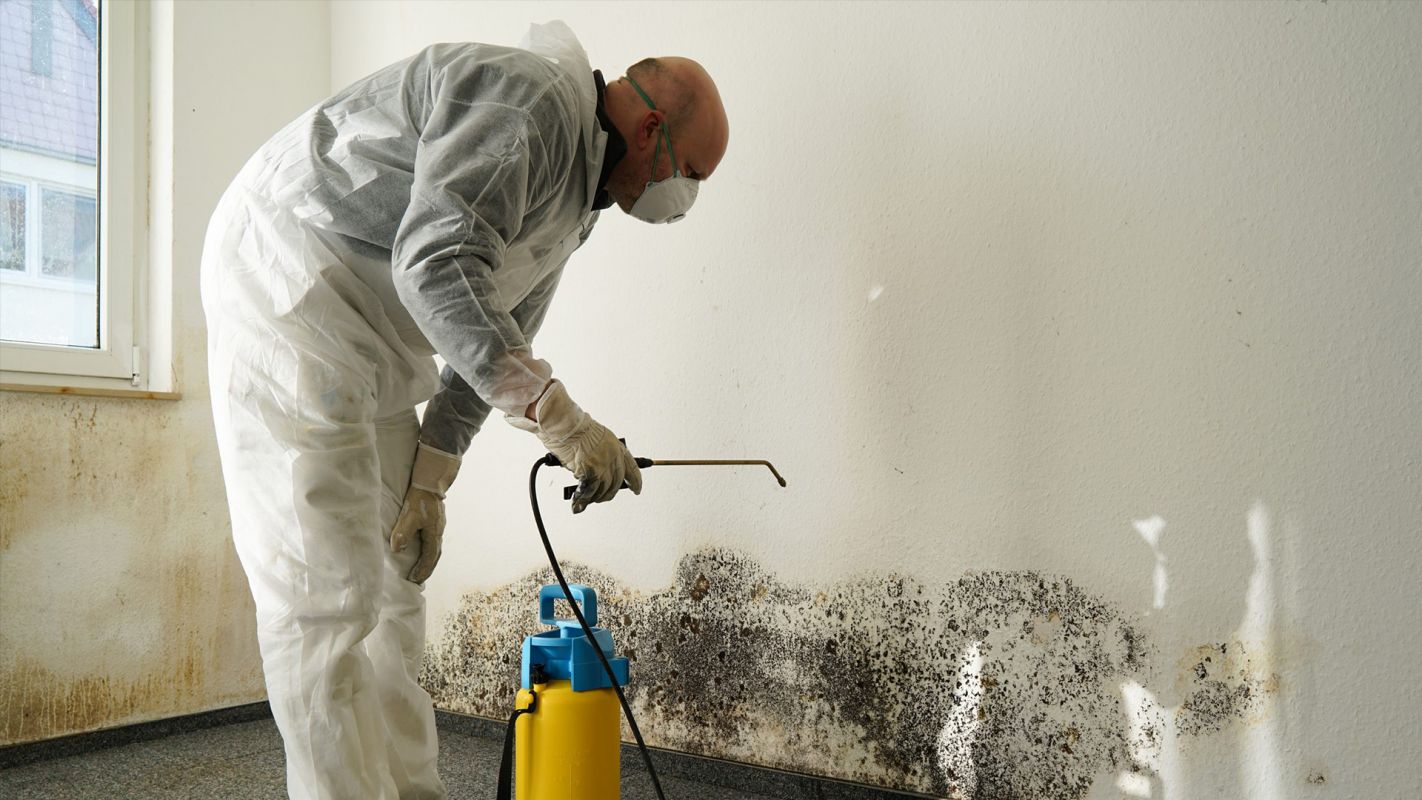 Mold Mitigation Services Riviera Beach FL