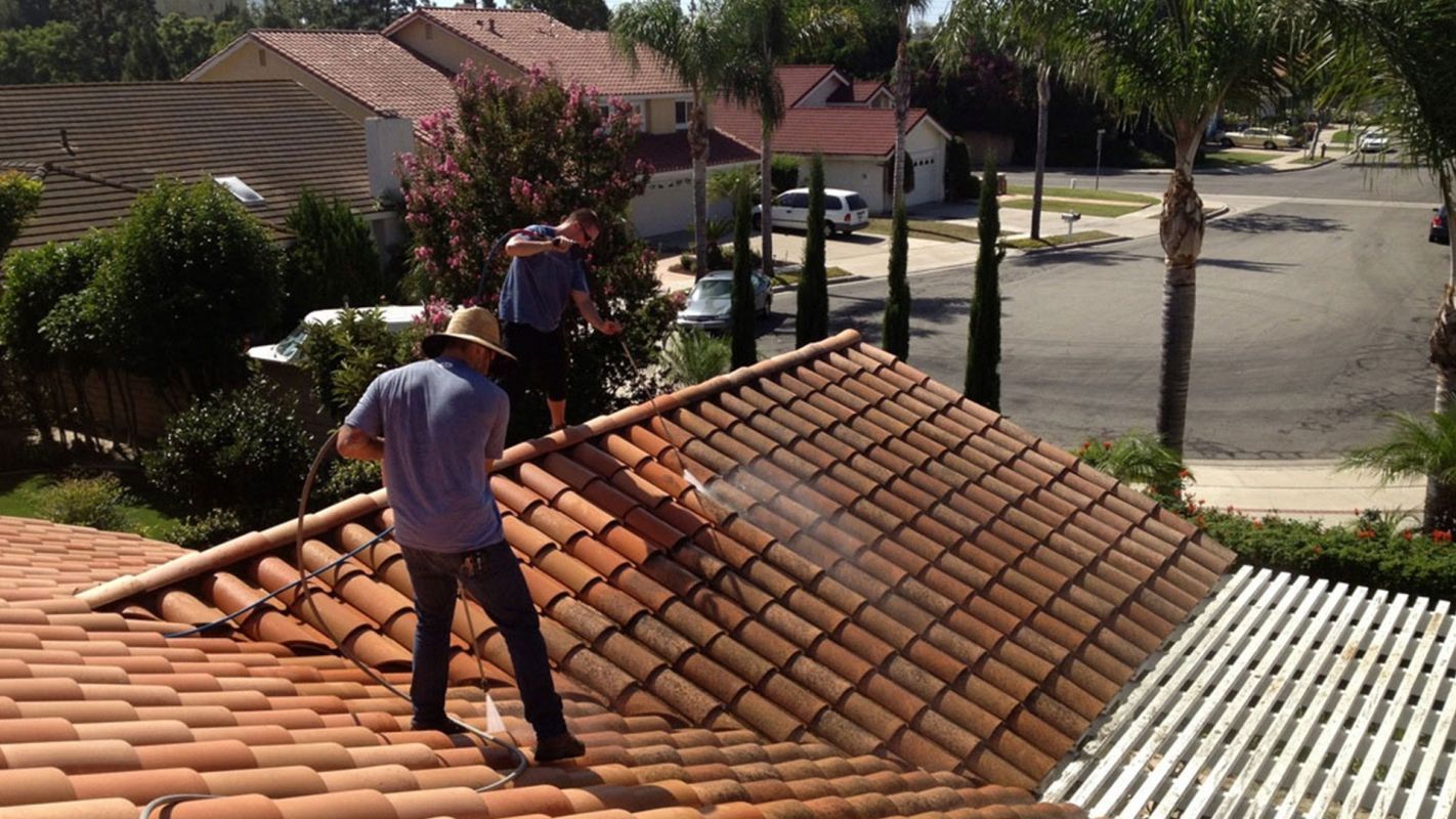 Roof Cleaning Services Hollywood FL