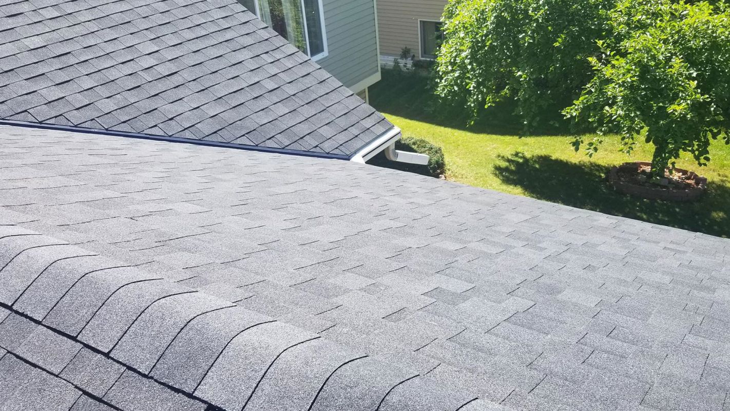 Shingle Roofing Clearwater FL