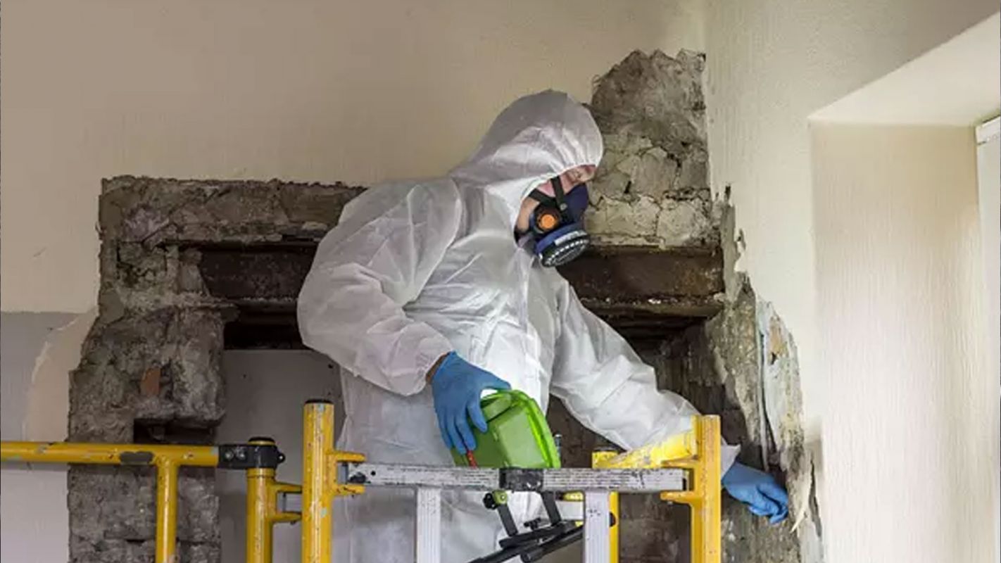 Asbestos Removal Burlington MA