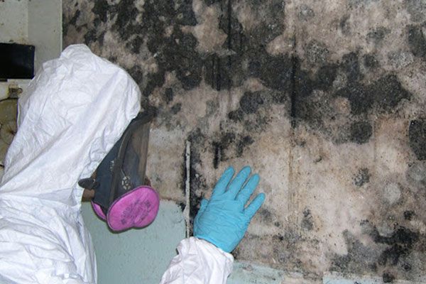 Mold Inspection Services In Fort Lauderdale FL
