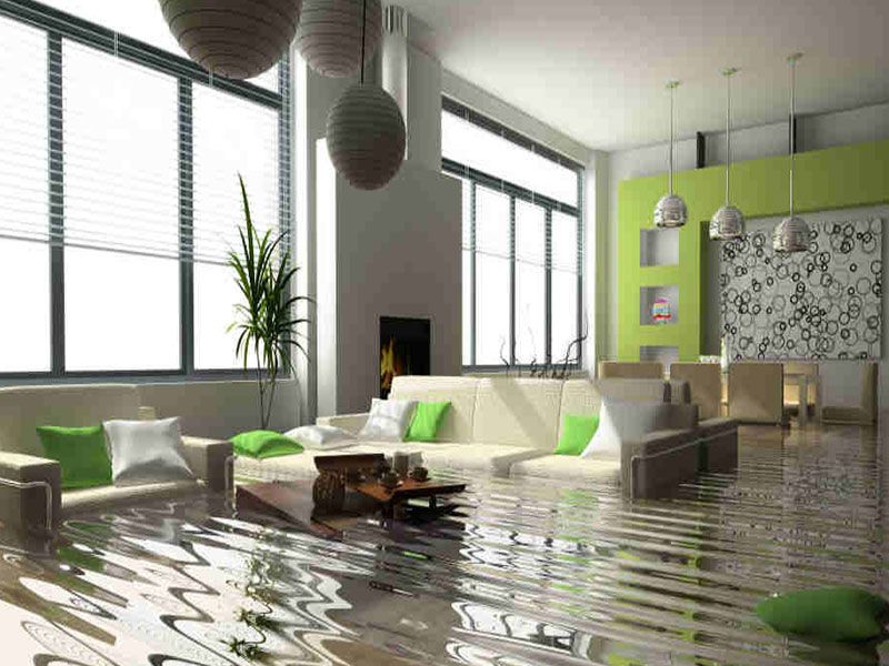 Water Damage Contractor Near Me Hollywood FL