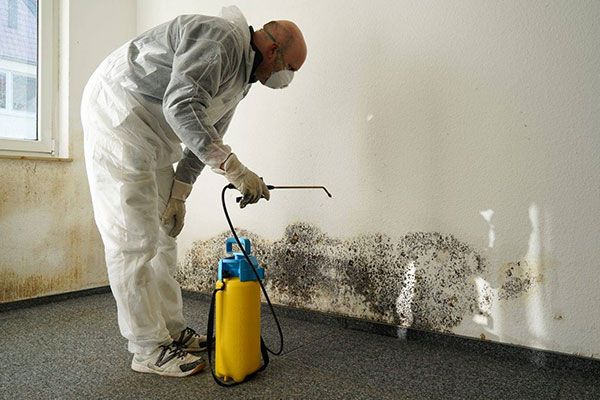 Mold Remediation Services In Miami FL