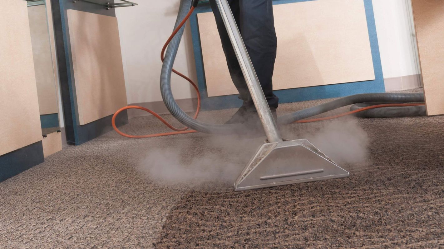 Steam Carpet Cleaning Bedford TX