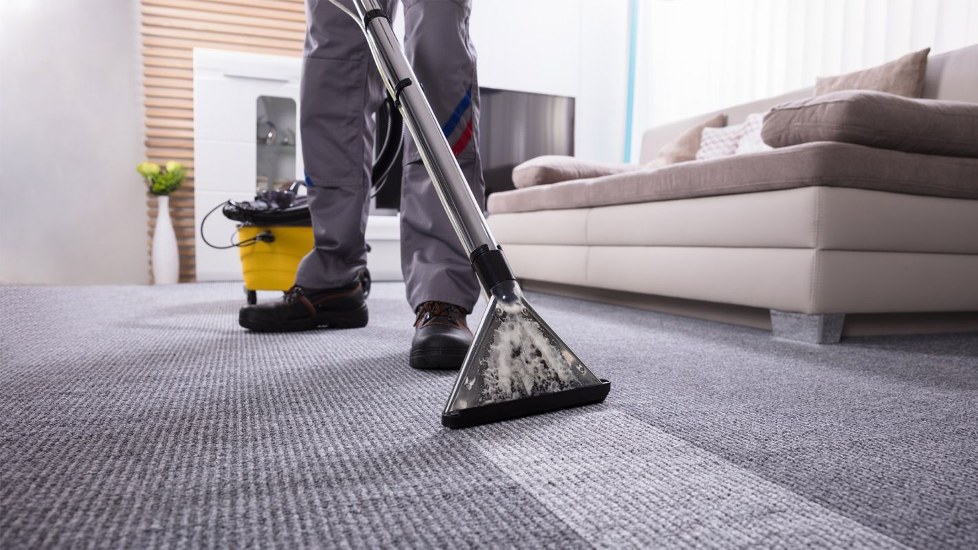 Affordable Carpet Cleaning Clearwater FL