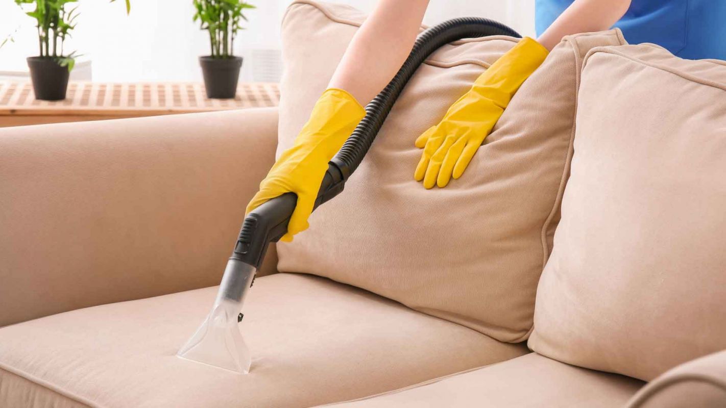 Couch Cleaner St. Petersburg FL