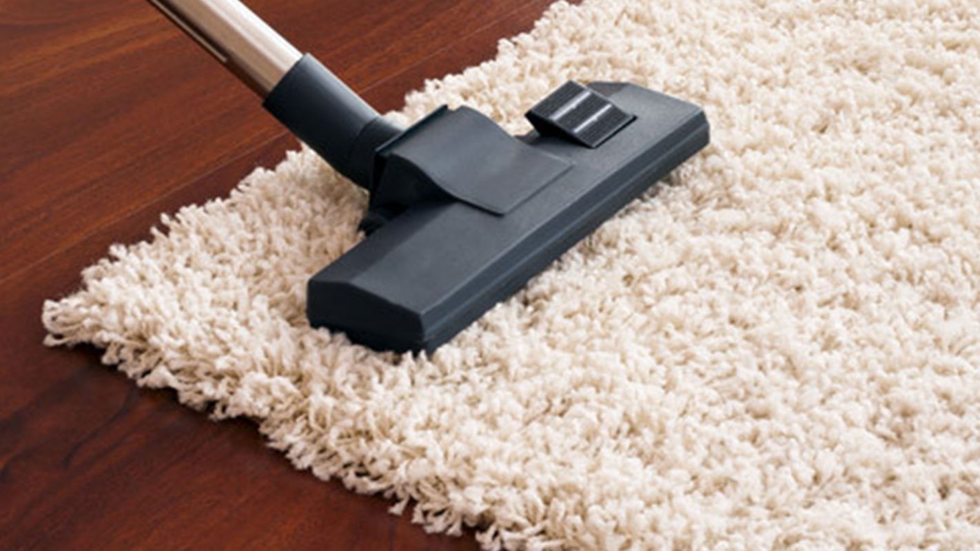 Rug Cleaning Service McDonough GA