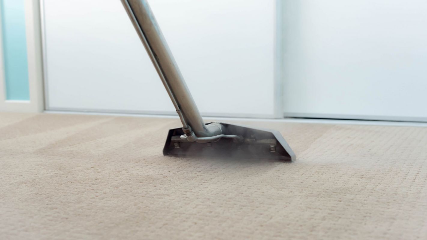 Steam Carpet Cleaning Williamsville NY