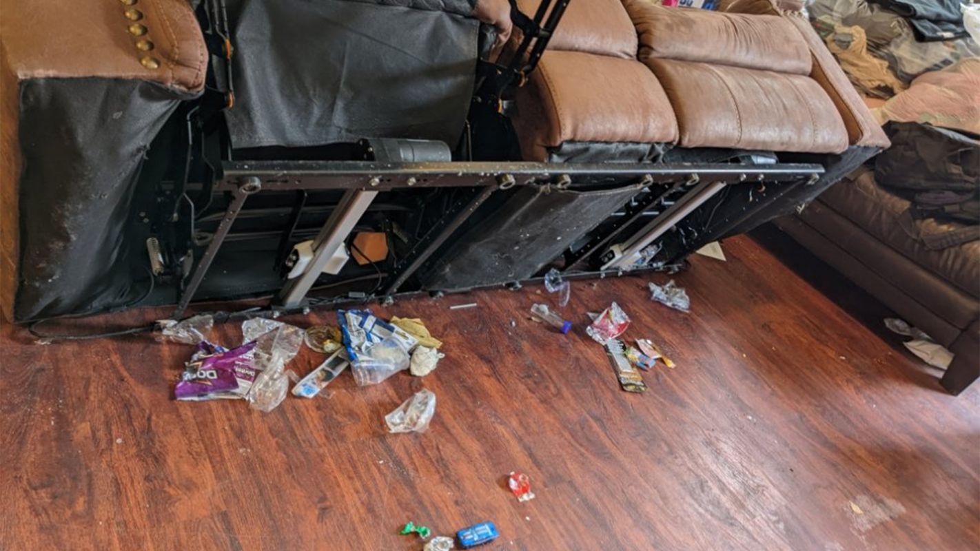 Best Cleaning Company Clarksville MD